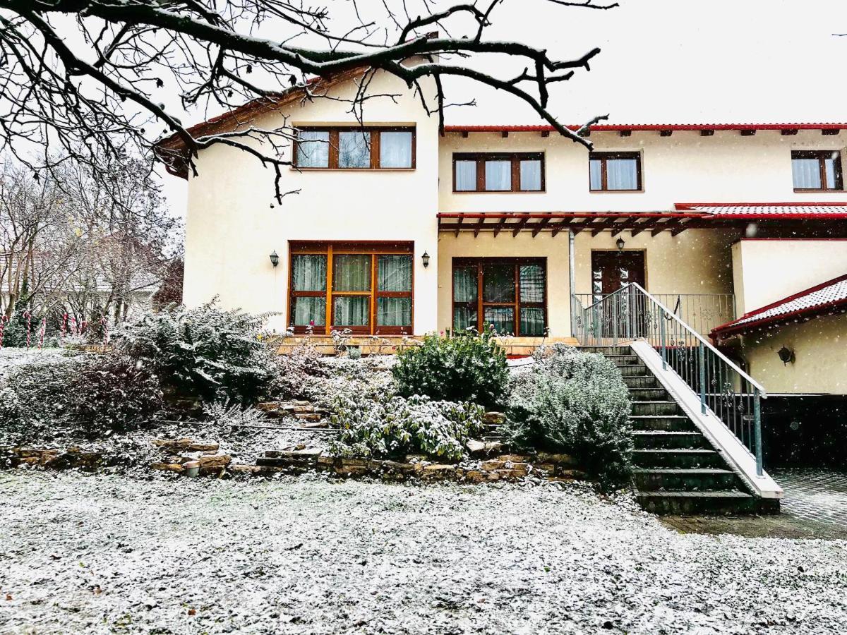 Villa Szofia Veszprem Apartments Buitenkant foto